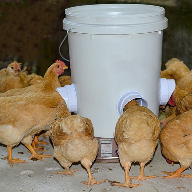 Rain Proof Chicken Feeder