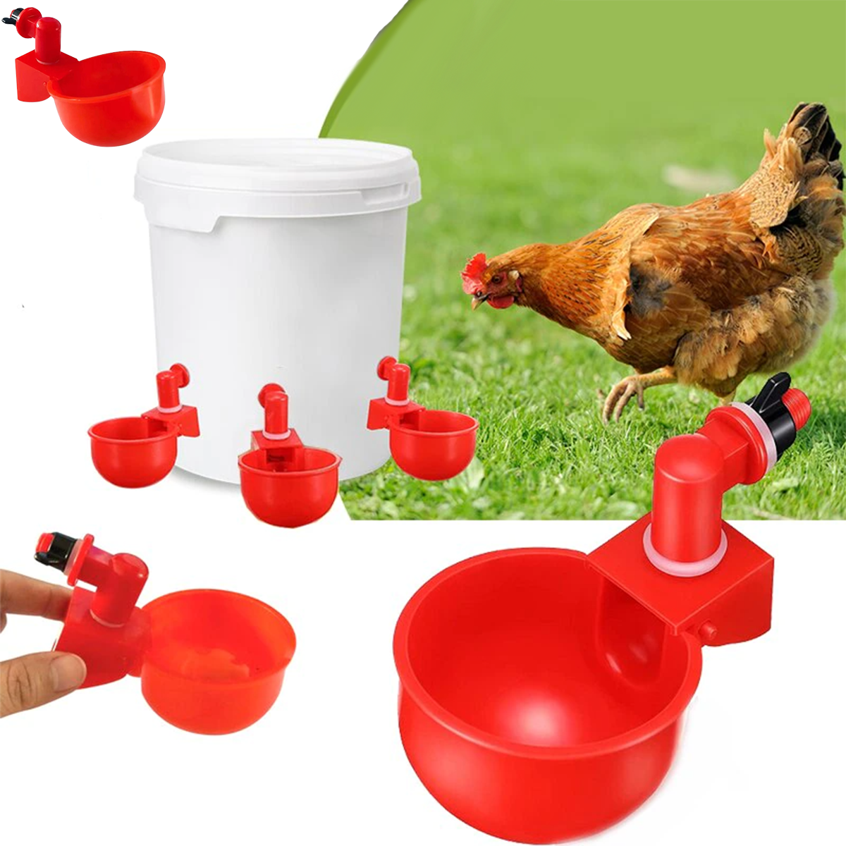 Automatic Chicken Water Cups - Poultry Drinking And Watering Cups, Chicken Feeders And Waterers