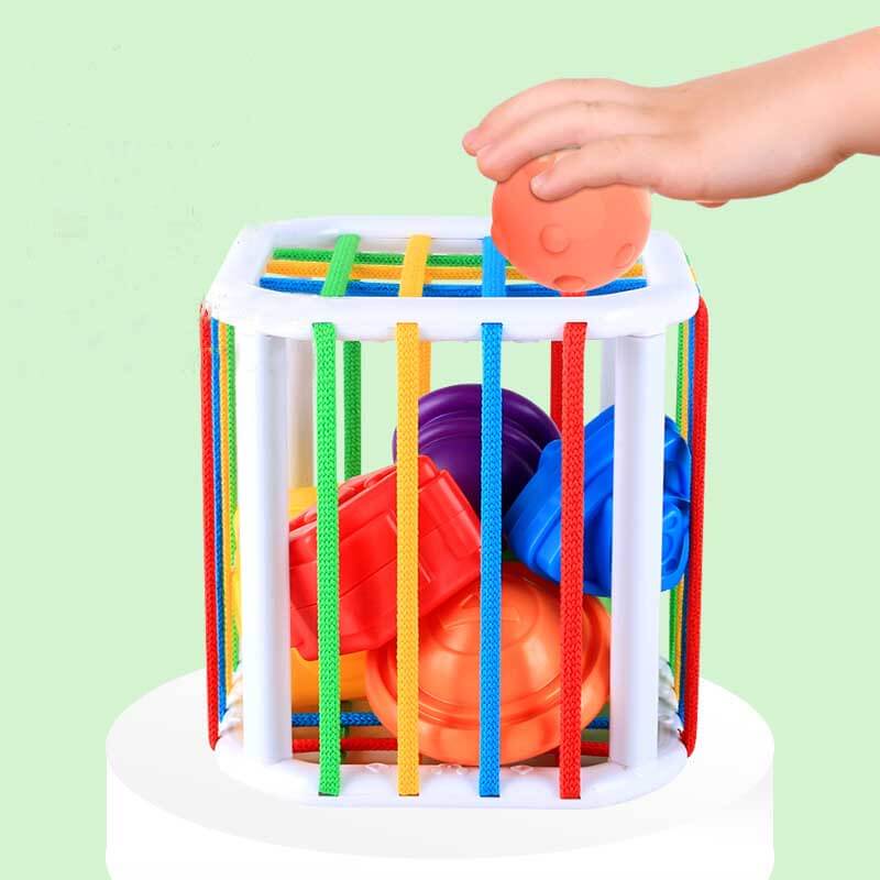 Rainbow Early Education Toy