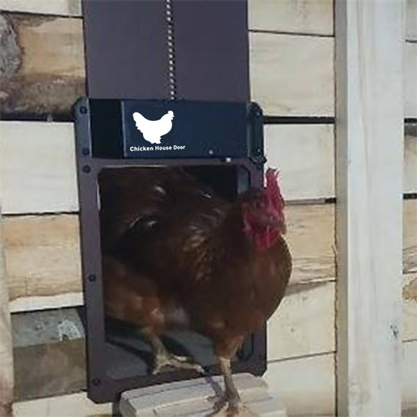 Automatic Chicken Coop Door With Light Sensing