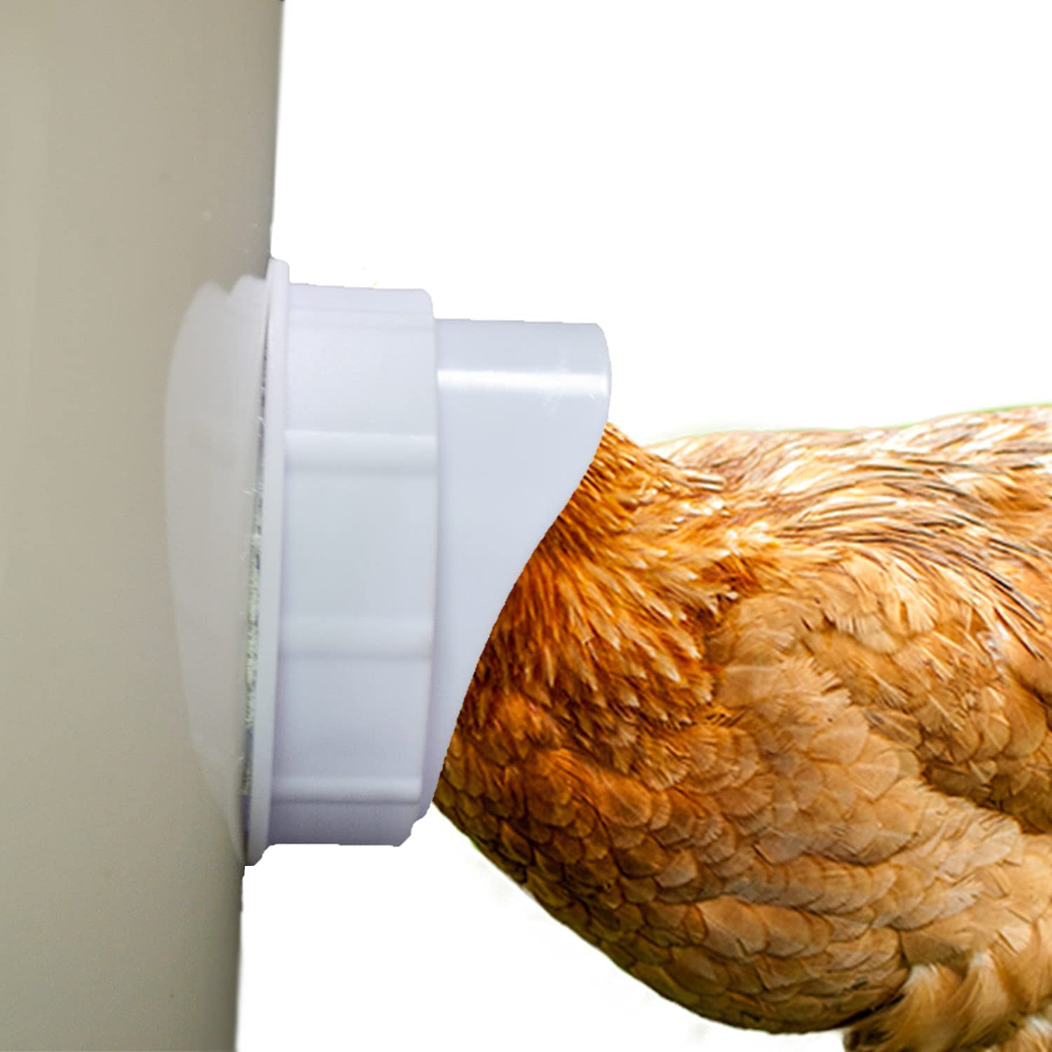 Rain Proof Chicken Feeder