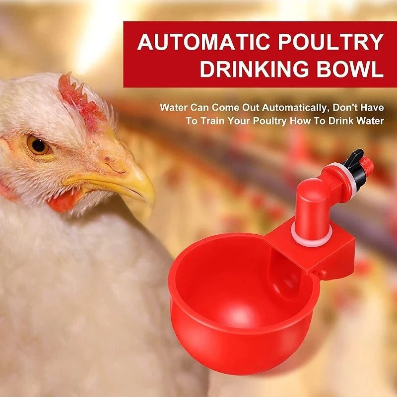 Automatic Chicken Water Cups - Poultry Drinking And Watering Cups, Chicken Feeders And Waterers