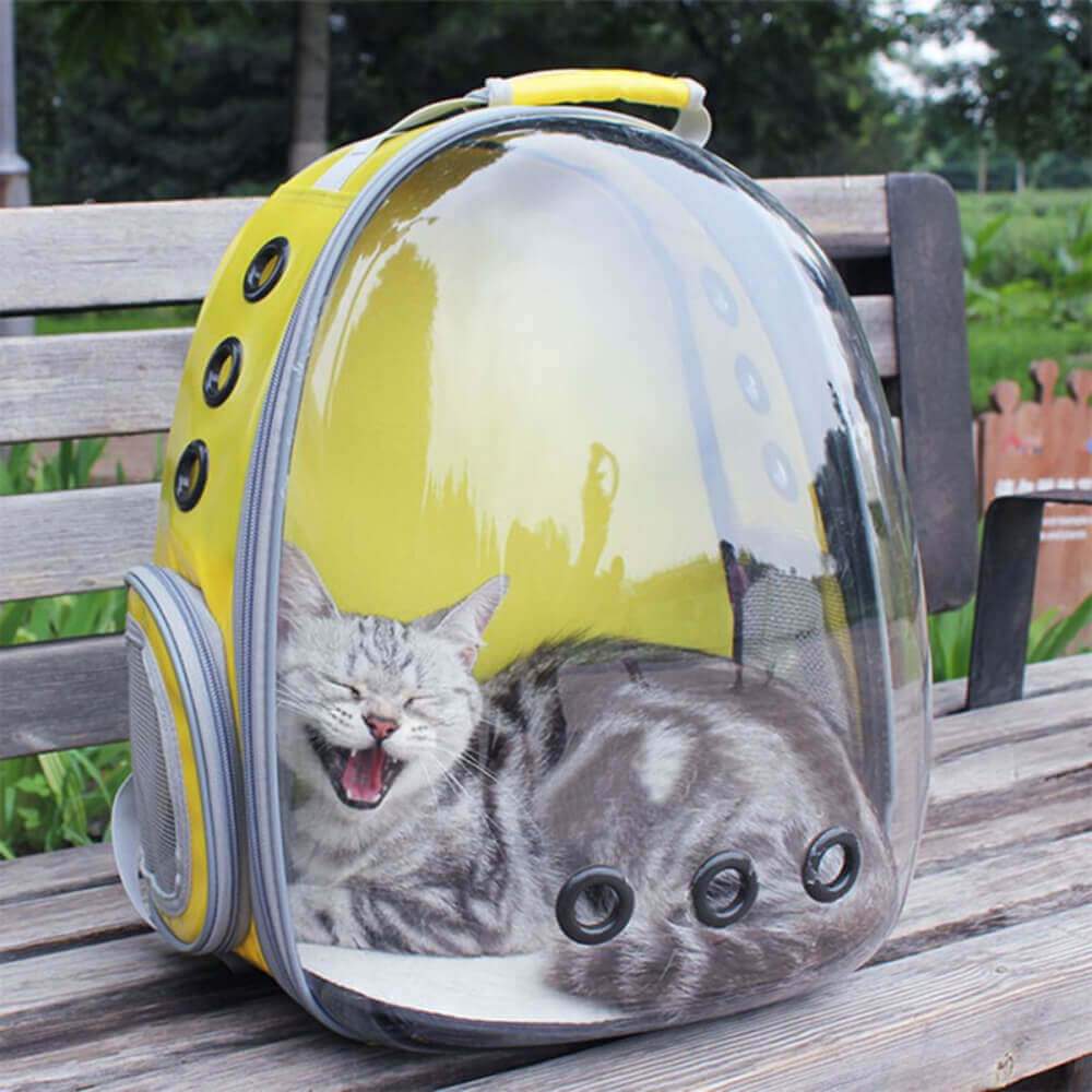 Sac à dos portable pour animaux de compagnie, capsule spatiale, bulle