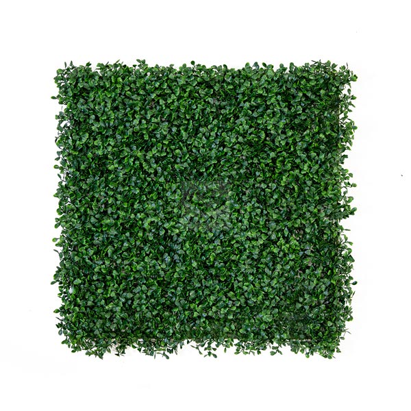 Ficus Boxwood Green Wall Panels - Weloveinnov