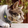 Load image into Gallery viewer, Smart GPS Cat Collar – Pet GPS Tracker - Weloveinnov