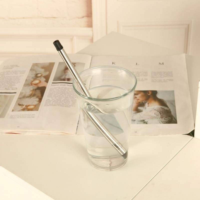 Collapsible Reusable Metal Stainless Steel Straw with container