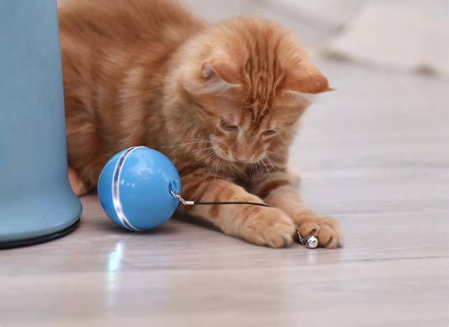 Jouet intelligent pour chat avec balle