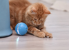 Load image into Gallery viewer, Smart Cat Toy Ball