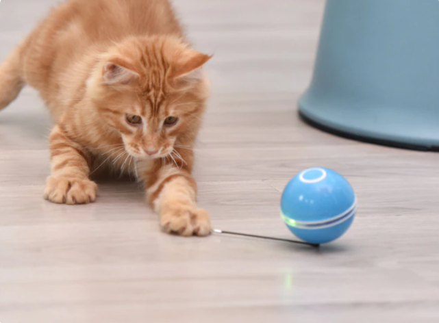 Jouet intelligent pour chat avec balle