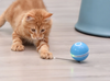 Smart Cat Toy Ball
