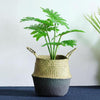 Bamboo Storage Baskets Foldable Laundry Seagrass Belly Garden Flower Pot Planter