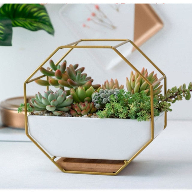 Geometric Wall Hanging Ceramic Pot