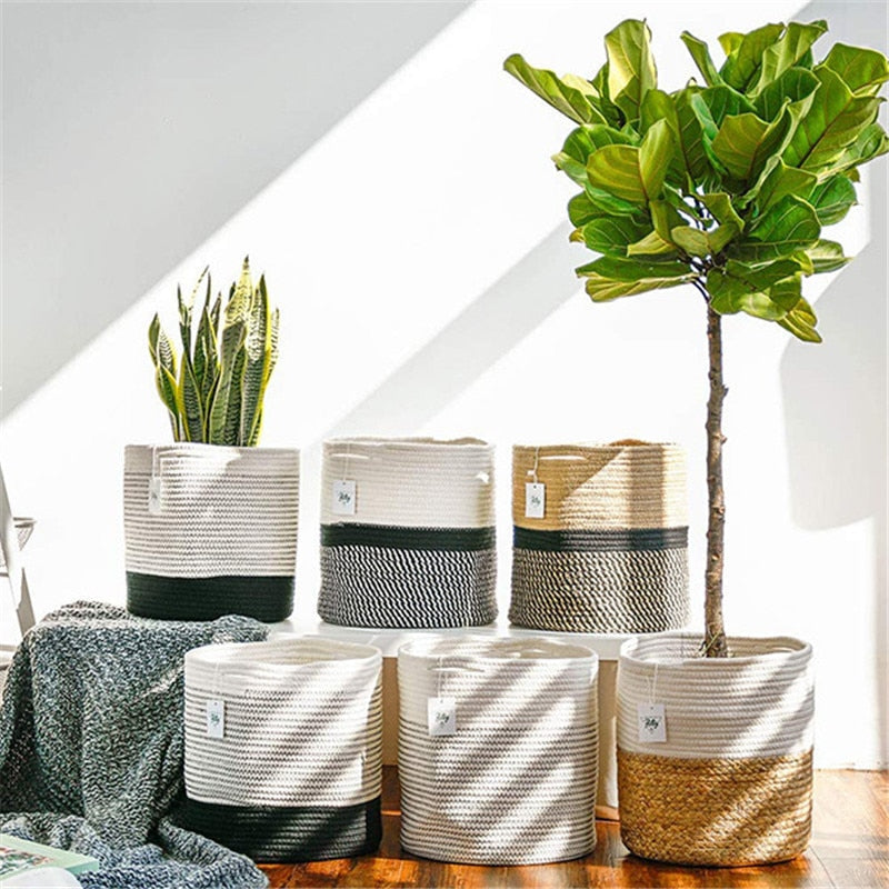 Seagrass Woven Plant Basket