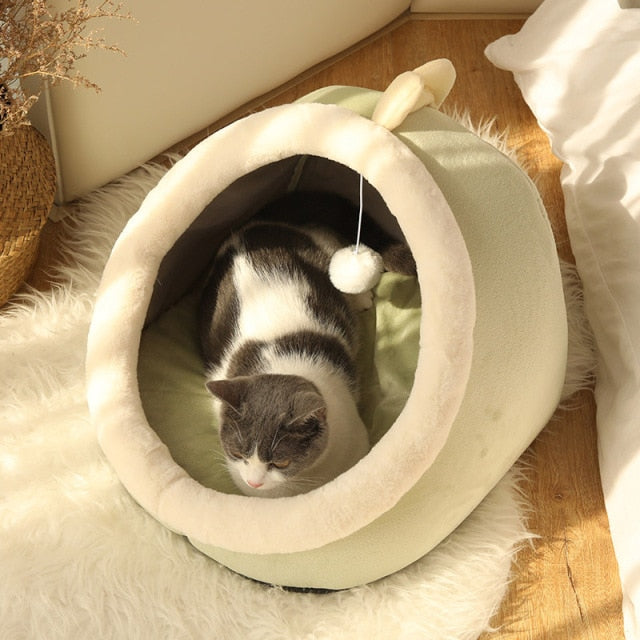 Cat Cave & Bed