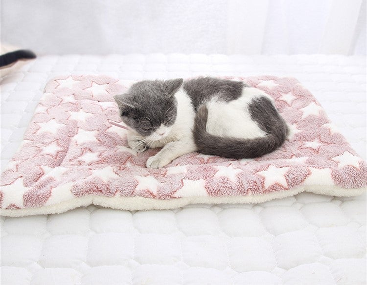 Thick and Soft Smooth Flannel Pet Blanket Mat