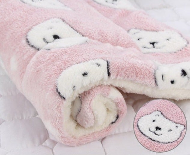 Ultra Soft Smooth Flannel Pet Blanket Mat - 11: FancyPetTags.com