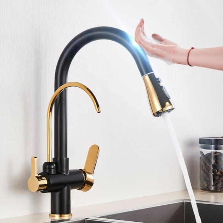 Pull Out Kitchen Faucets With Water Filter with Touch Sensor